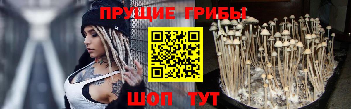 Галлюциногенные грибы Psilocybe  Псилоцибиновые грибы Magic Shrooms  Орск  Вход с VPN 